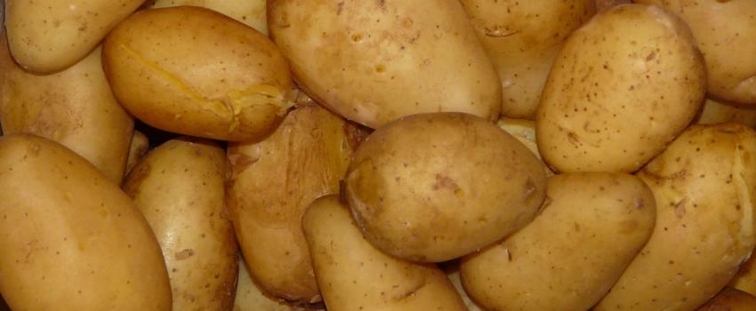 Pellkartoffeln leicht gemacht: Der Schnellkochtopf als Küchenhelfer